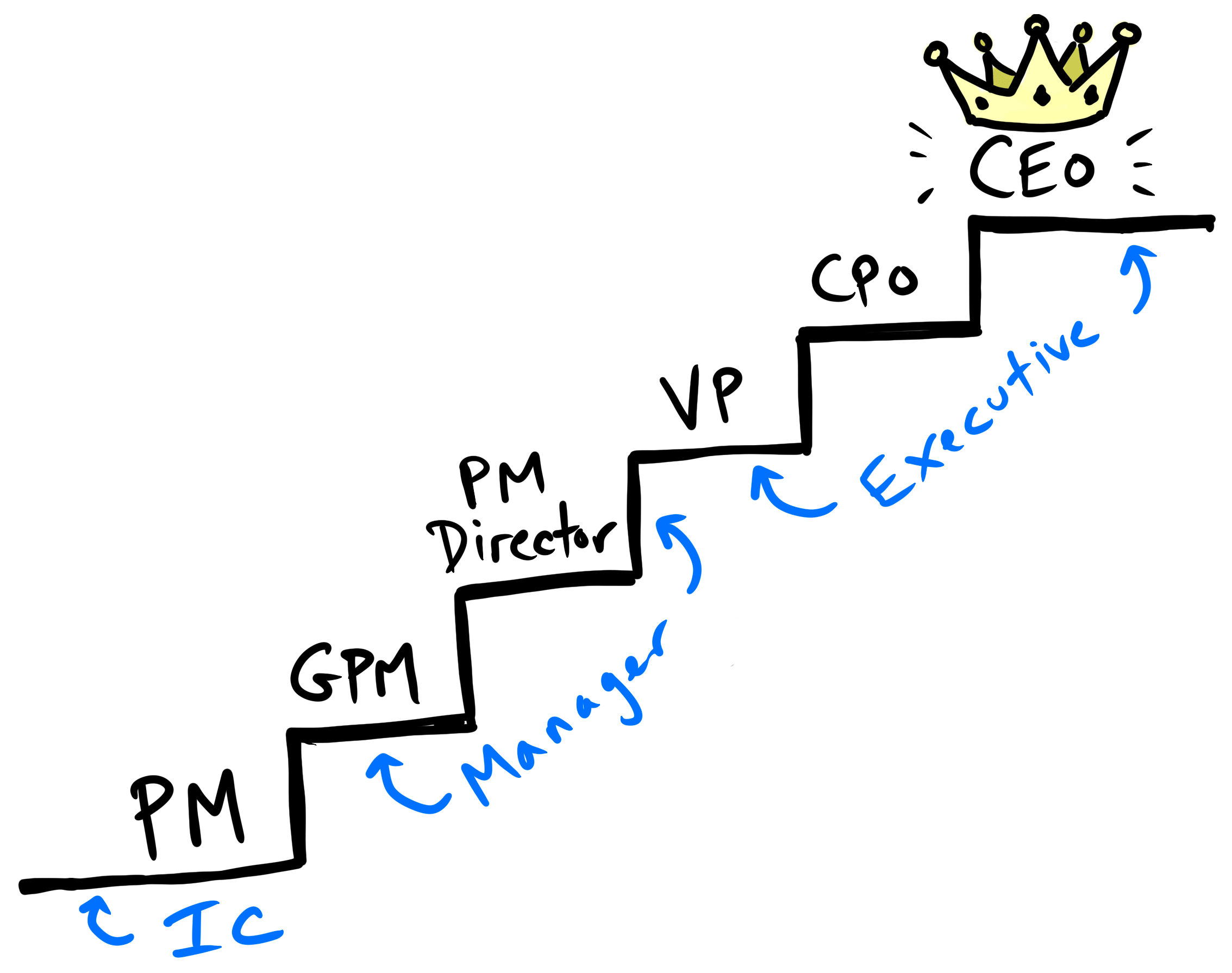 Career in Product Management